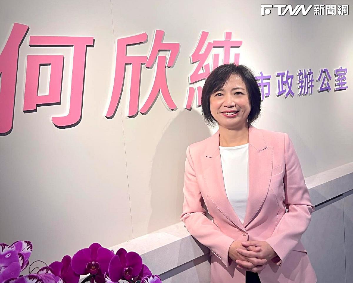 打臉自家3800億+N版？盧秀燕稱8千億較合理　何欣純：「口惠實不至」的政治表演